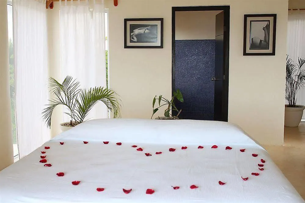 Al Cielo Hotel Xpu Ha Mexico